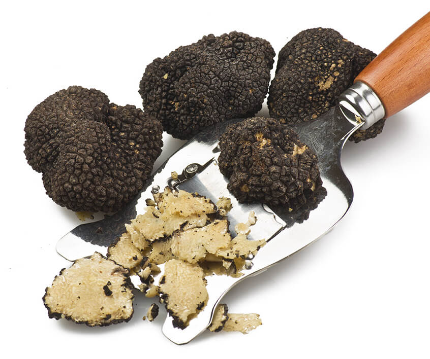 Trufa negra (Tuber melanospoum)