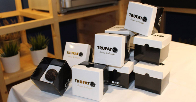 Trufato, trufa negra de Teruel